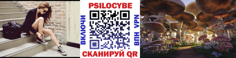дарнет шоп  Верхнеуральск  Псилоцибиновые грибы Psilocybe 