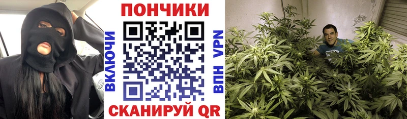 Бошки Шишки конопля  Верхнеуральск 